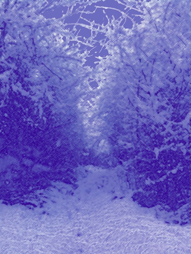 path through snowy woods